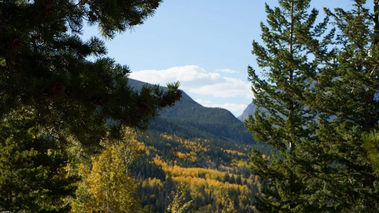 Mastering the Buckeye Trail: A Training Ground for the Appalachian Trail