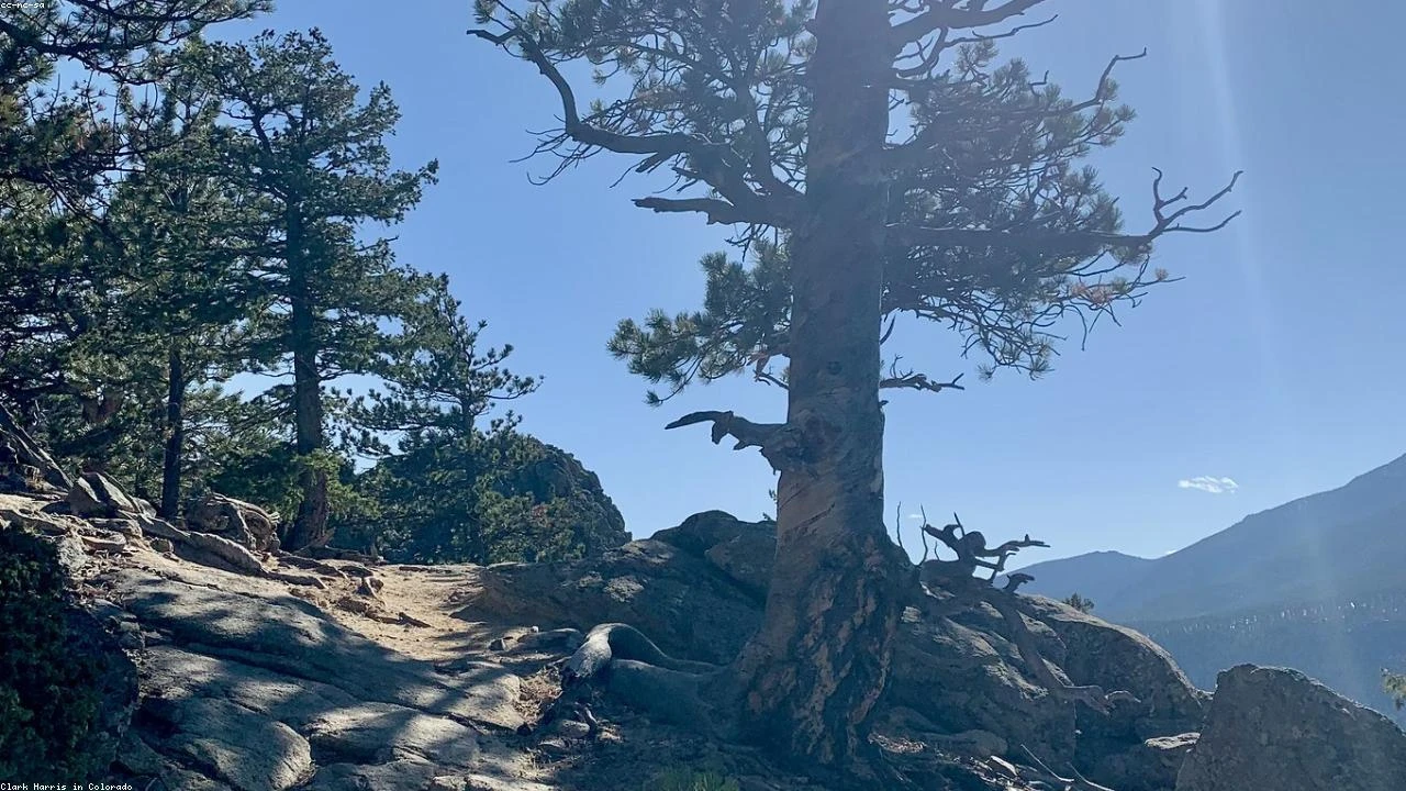 Reviving the Thru-Hike Dream: Overcoming Unfinished Business on the Appalachian Trail