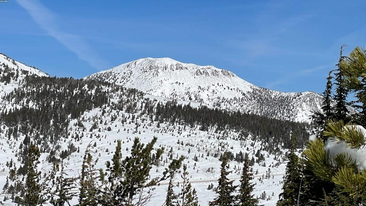 Winter Storm Survival on the Appalachian Trail: A Hiker's Guide